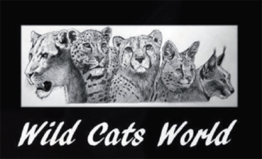 Wild Cats World